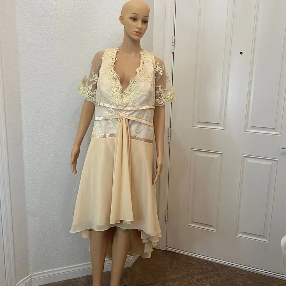 Izilady Dress Champagne Gold Lace Beaded Evening Mother Bride Dress Formal New